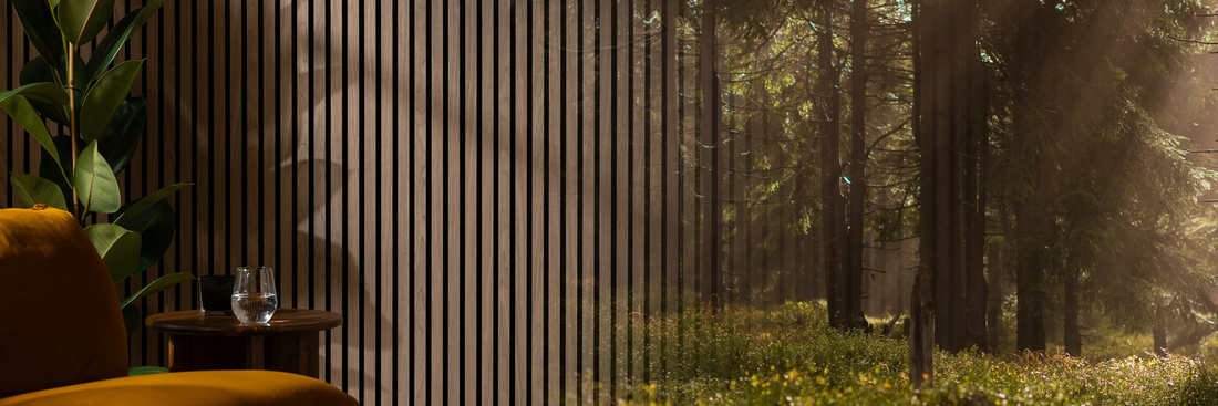 Naturewall: A New Chapter, Rooted in Our Story