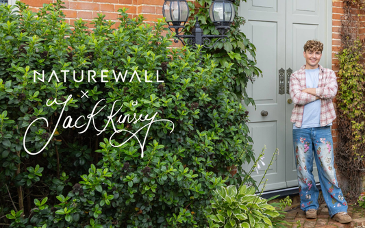 Step Inside Our Creative Partnership with Jack Kinsey