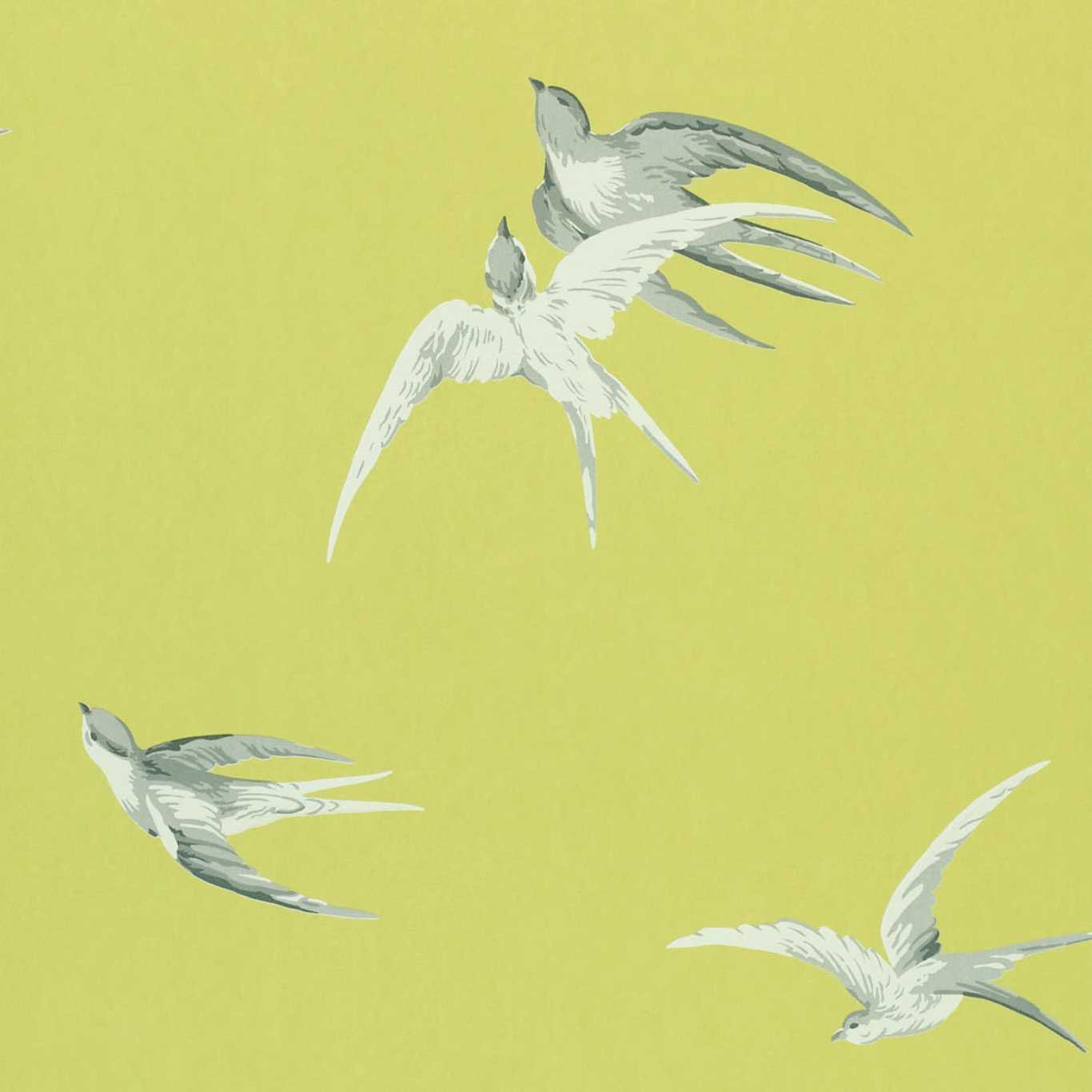 Sanderson Swallows Lime Green Wallpaper