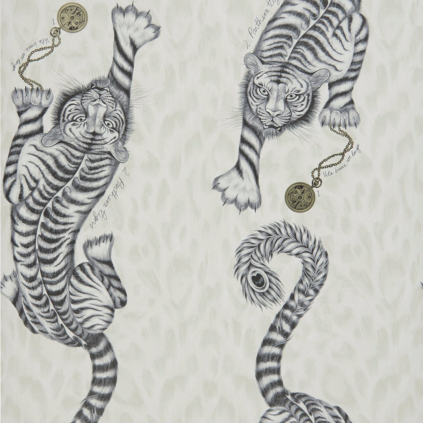 Clarke & Clarke Tigris Monochrome Wallpaper