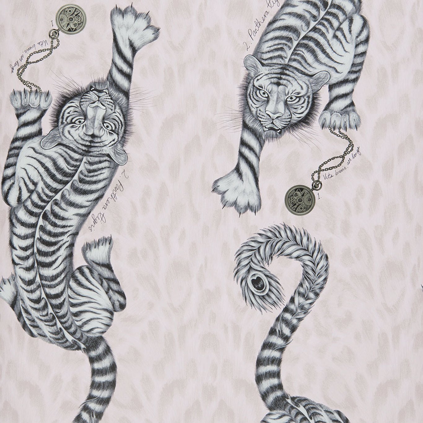 Clarke & Clarke Tigris Pink Wallpaper