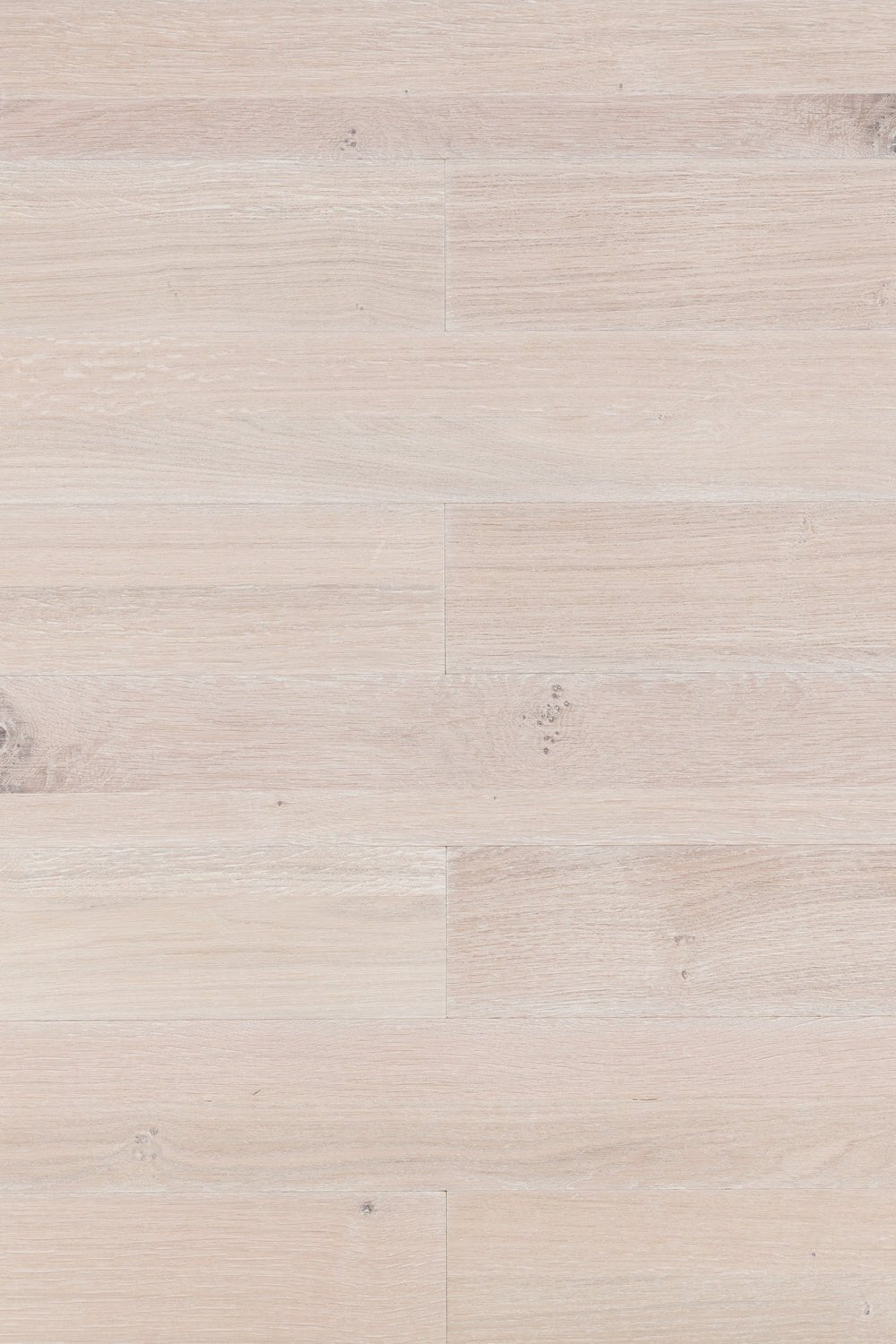 Alaska Planks Sample