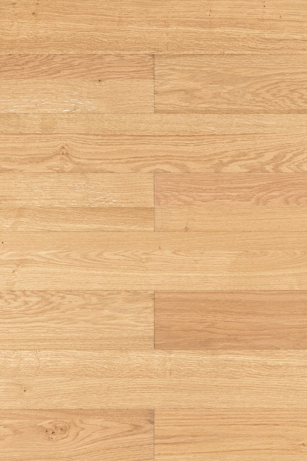 New Forest Planks Sample


