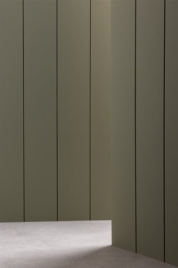 image of dark green painted wooden tongue and groove panelling with light shining through

